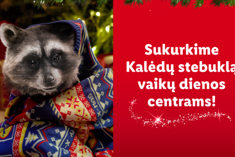 Paaukojusiems vaikų dienos centrams – pliušinis meškėnas