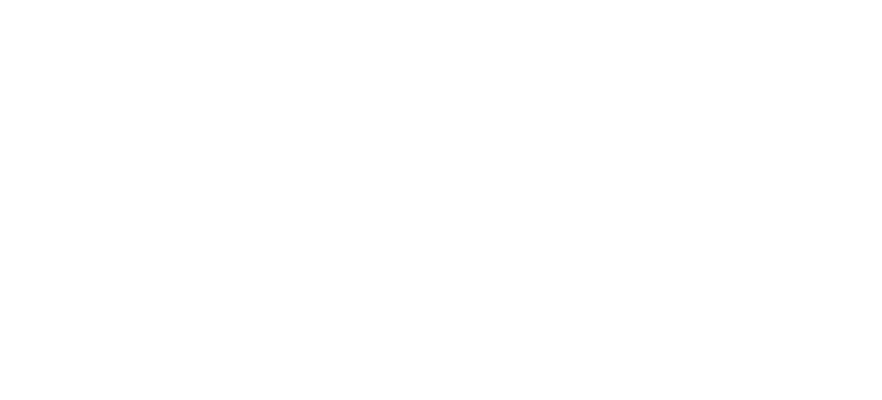 Lietuvos Caritas